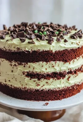 Chocolate Mint Layered Cake with rich chocolate frosting and mint garnishes