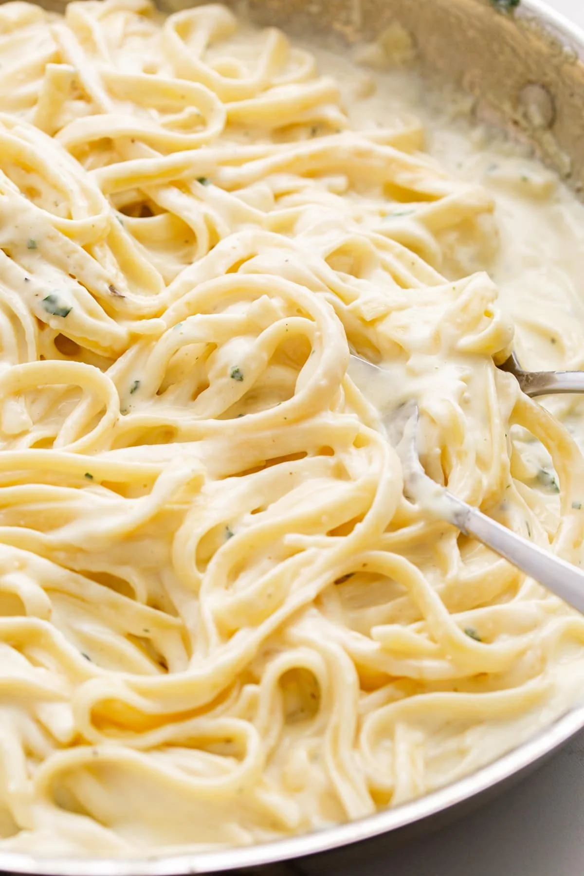 Homemade Alfredo Sauce