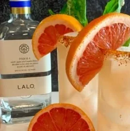 Elegant Paloma image showcasing its beauty and symbolism of peace.