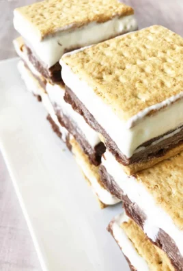Frozen S'more Bars with chocolate and marshmallows